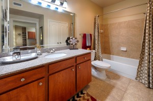 One Bedroom Apartments for Rent in Katy, TX - Bathroom & Shower 
